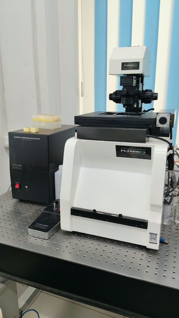 Fluorescence Microscope in the Research Hub lab